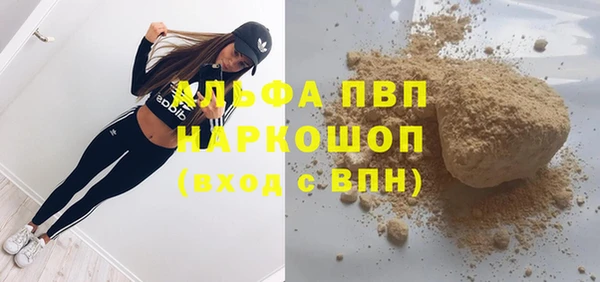 индика Алзамай