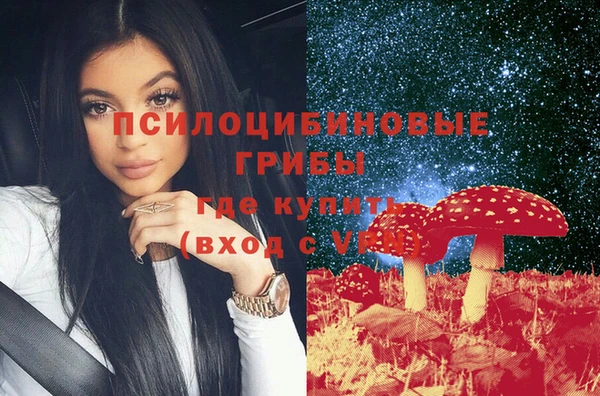 индика Алзамай
