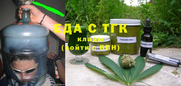 индика Алзамай