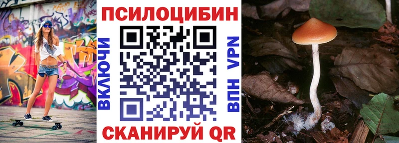 Псилоцибиновые грибы мухоморы  Салехард 